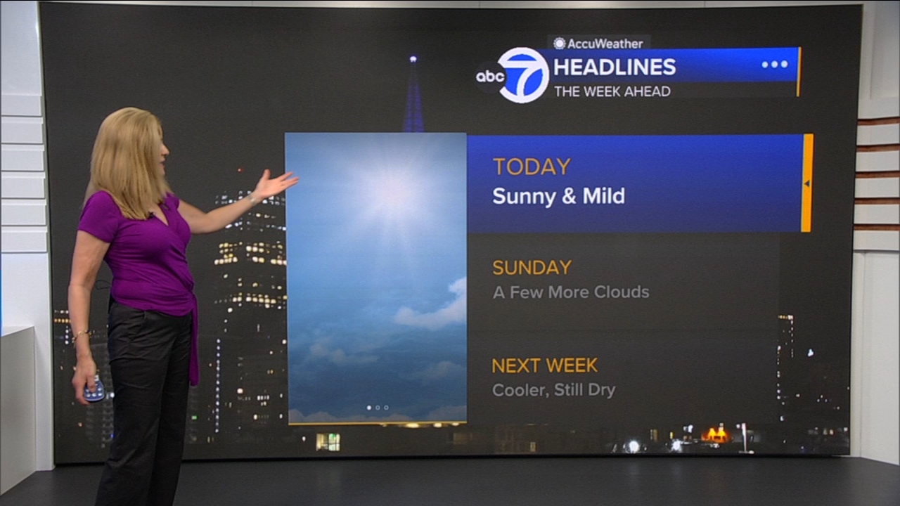 AccuWeather Forecast: Sunny and mild
— ABC 7 Bay Area, Grand Prairie Community news