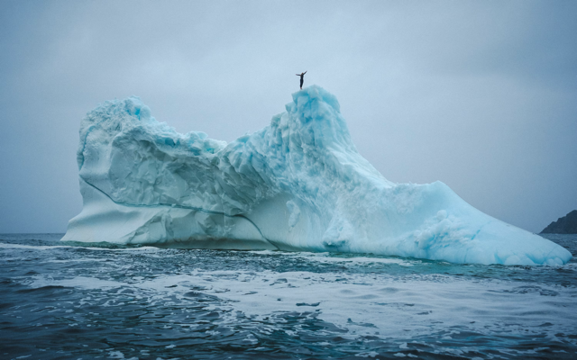 Cliff diver Molly Carson makes history, becomes first woman to dive off iceberg — WPBF Sports Palm Beach, Grand Prairie Sports news